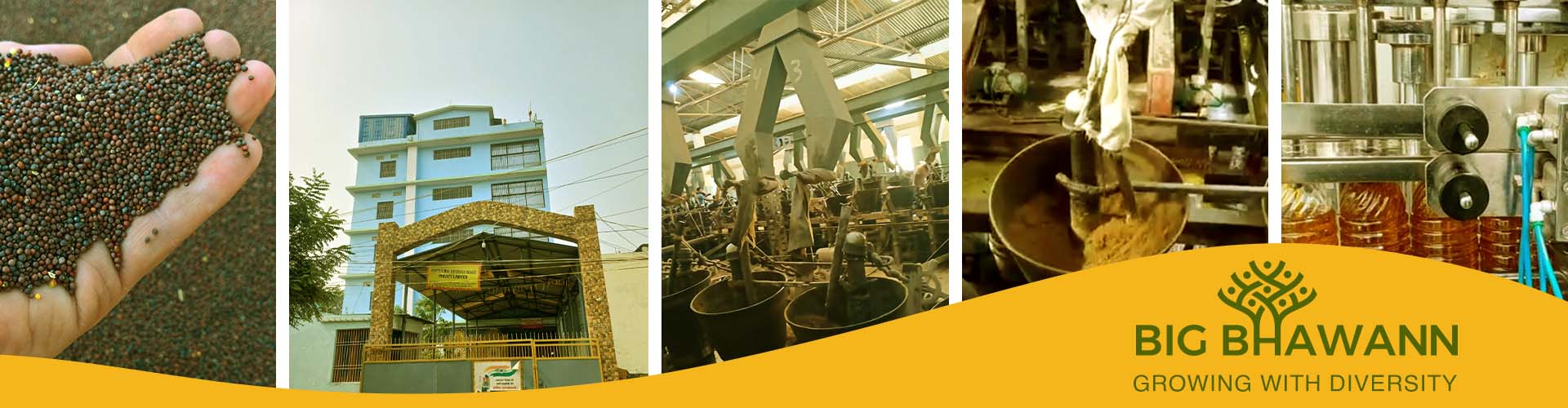 Big Bhawann | Growing with Diversity