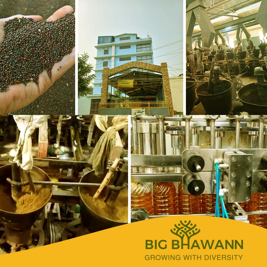 Big Bhawann | Growing with Diversity