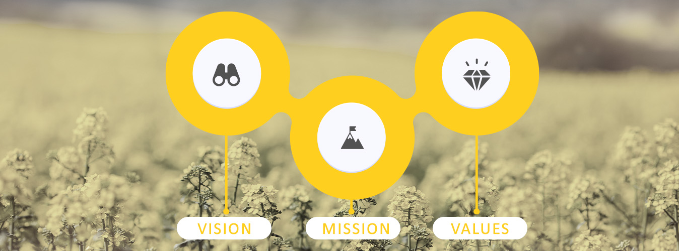 Vision, Mission, and Values